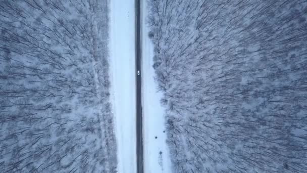 Vista aerea sulla guida in auto attraverso la strada forestale invernale. Paesaggio invernale paesaggistico — Video Stock