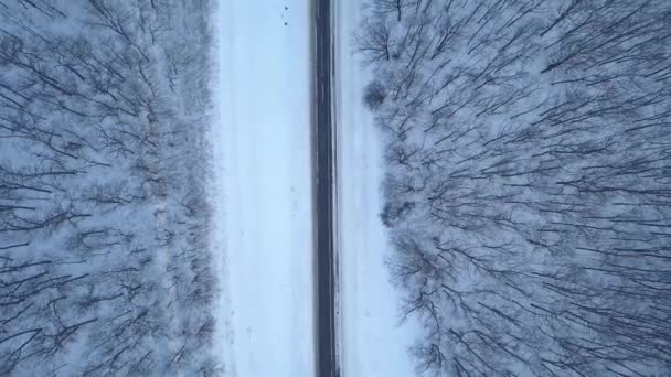 Vista aérea de la carretera forestal de invierno. Paisaje escénico de invierno — Vídeo de stock