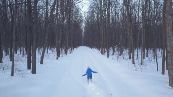 Vista aérea de la chica feliz que corre alrededor de las corrientes de nieve en el bosque. Paisaje escénico de invierno — Vídeo de stock