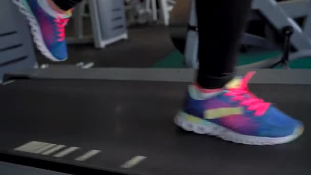 在健身房的跑步机上运行的女人 — 图库视频影像
