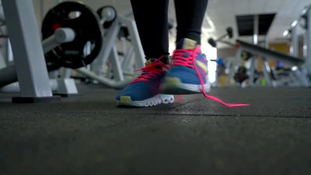 Взуття для бігу - жінка зав'язує взуття мереживами в спортзалі — стокове відео