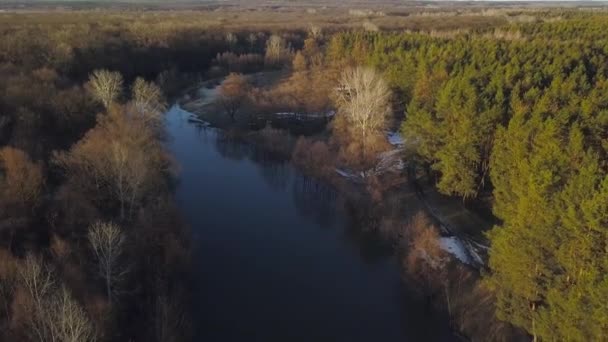 Latające nad drzewami i rzeki o świcie - antenowe filmowania — Wideo stockowe