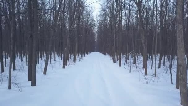 Vista aérea na estrada coberta de neve na floresta. Paisagem de inverno cênica — Vídeo de Stock