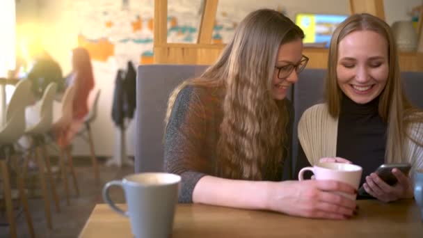 Dos amigos mujer en la cafetería utilizando el teléfono móvil y divertirse comunicando — Vídeos de Stock
