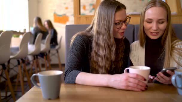 Dos amigos mujer en la cafetería utilizando el teléfono móvil y divertirse comunicando — Vídeos de Stock