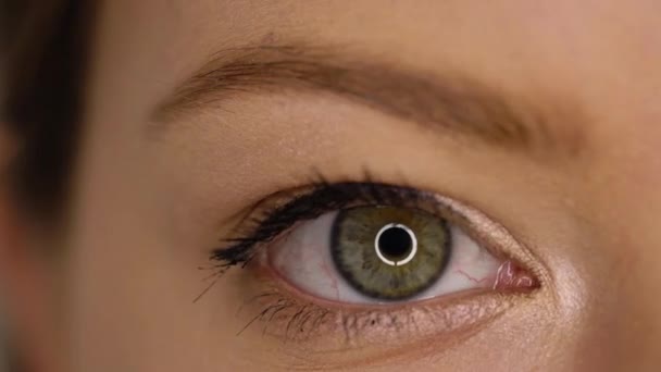 Макро Крупним планом миготіння очей — стокове відео