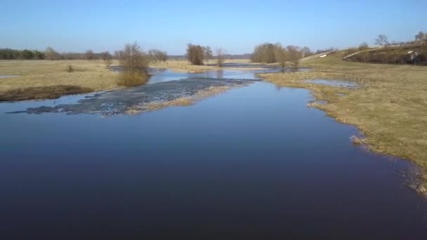 春に湿地の地形上のフライト — ストック動画