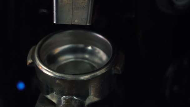 Processo de moagem de grãos de café em uma máquina de café close-up — Vídeo de Stock