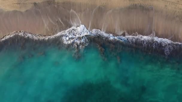 Top kilátás nyílik a sivatagi strandra az Atlanti-óceánon. Tenerife szigetének partja. Légi felvételek a partot elérő tengeri hullámokról — Stock videók