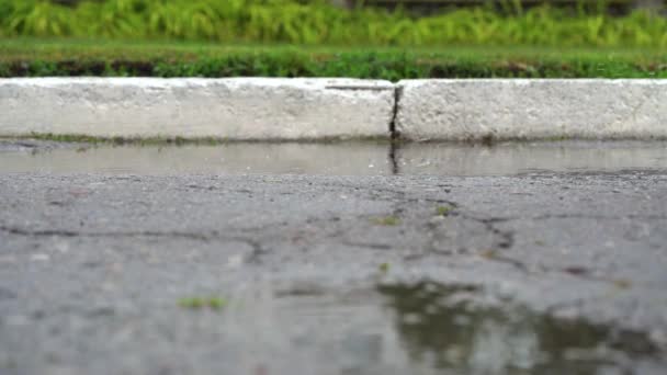 Benen på en löpare i sneakers. Sport kvinna jogging utomhus, kliva in lerig pöl. Singel löpare kör i regn, vilket gör Splash. Slow motion — Stockvideo