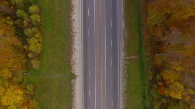 Sonbahar ormanıyla çevrili yoldaki trafiğin en üst görüntüsü