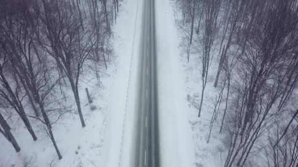 Vue aérienne d'une route entourée par la forêt hivernale en chutes de neige — Video