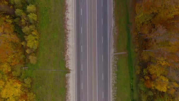 Вид сверху на движение по дороге, окруженной осенним лесом — стоковое видео