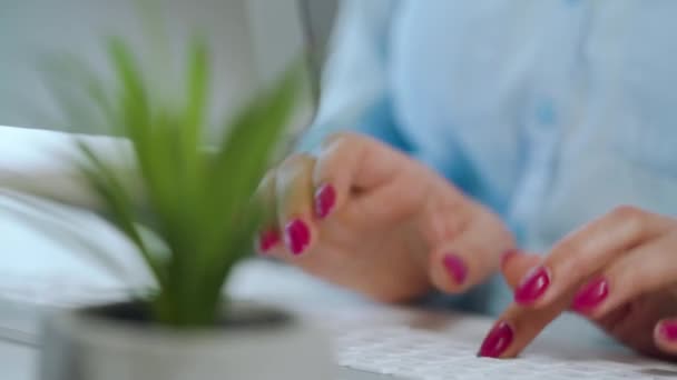 Kvinnliga händer med ljus manikyr skriva på en dator tangentbord — Stockvideo