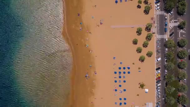 Vista desde la altura de la arena dorada, palmeras, tumbonas, irreconocibles personas en la playa Las Teresitas, Tenerife, Canarias, España. Cronograma — Vídeo de stock