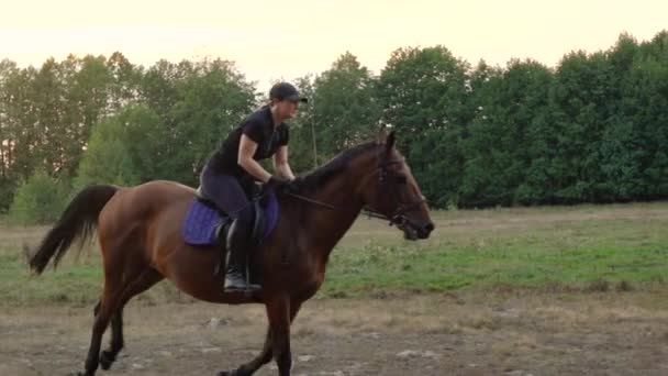 Mujer montando a caballo a galope. Paseos a caballo en cámara lenta . — Vídeos de Stock