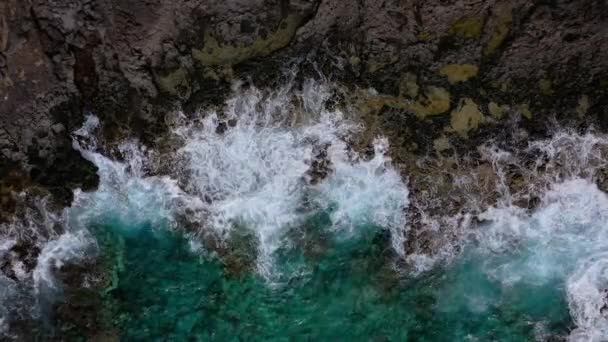 Top view of a deserted coast. Rocky shore of the island of Tenerife. Aerial drone footage of ocean waves reaching shore — Stock Video