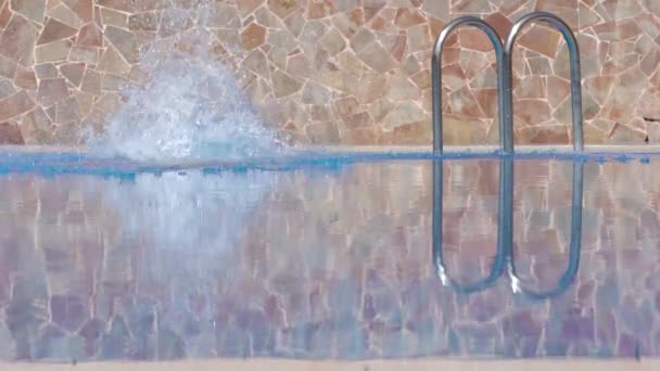Zwemmer springt in het zwembad en doet de vlinderslag in het zwembad in slow motion — Stockvideo