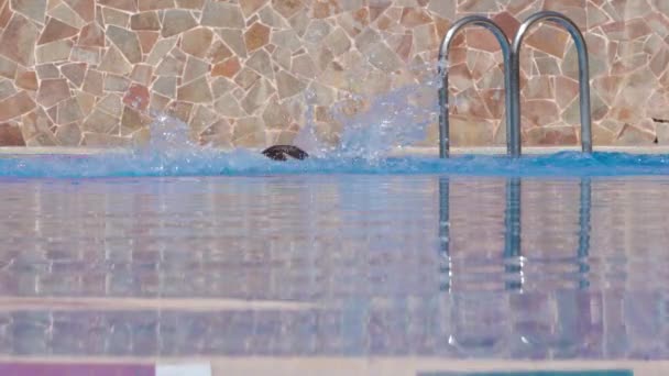 Nuotatore che fa il colpo di farfalla in piscina al rallentatore — Video Stock