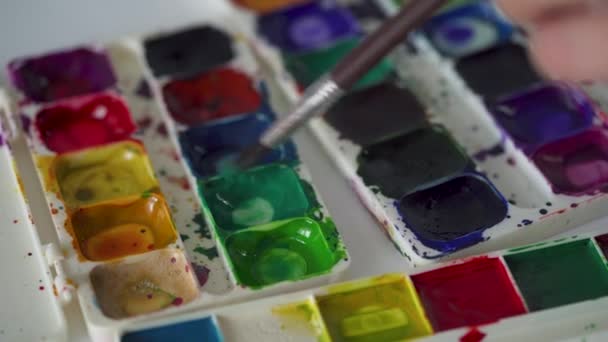 Кисть бере різні кольори акварельних фарб з палітри і змішує їх — стокове відео