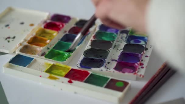 Кисть берет из палитры различные цвета акварельных красок и смешивает их — стоковое видео