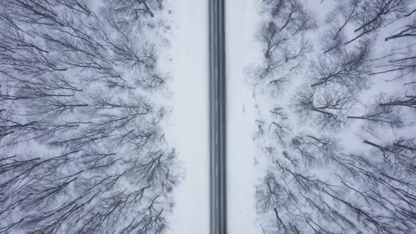 Vista superior del tráfico en una carretera rodeada de bosque de invierno — Vídeos de Stock