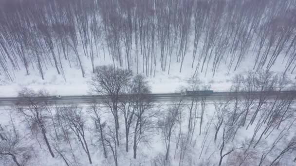 Vista aérea do tráfego em uma estrada cercada por floresta de inverno em queda de neve — Vídeo de Stock