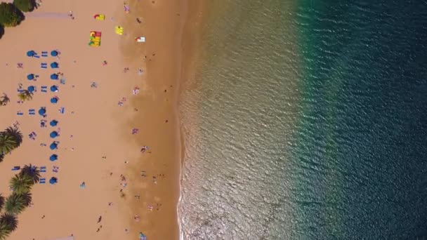 Vista desde la altura de la arena dorada, palmeras, tumbonas, irreconocibles personas en la playa Las Teresitas, Tenerife, Canarias, España . — Vídeo de stock