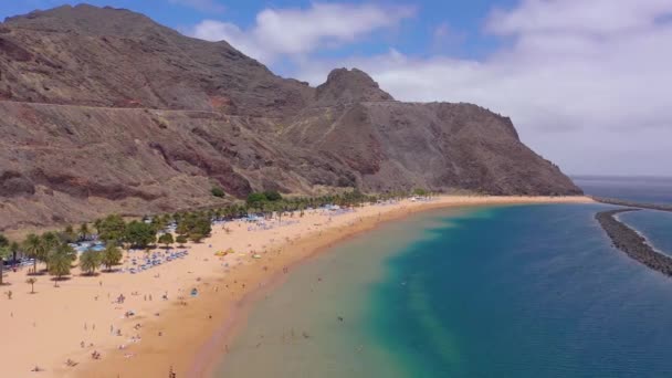 Blick aus der Höhe des goldenen Sandes, Palmen, Liegestühle, unkenntliche Menschen am Strand las teresitas, Teneriffa, Kanaren, Spanien — Stockvideo