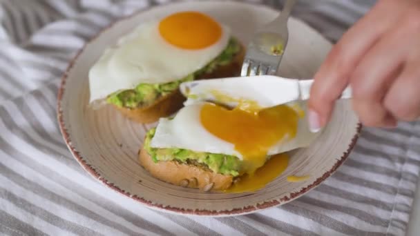 Toast mit Avocado und Ei in Scheiben schneiden. gesundes veganes Frühstück. — Stockvideo