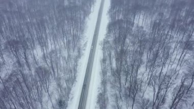 Kış ormanlarıyla çevrili bir yoldaki trafiğin hava görüntüsü.