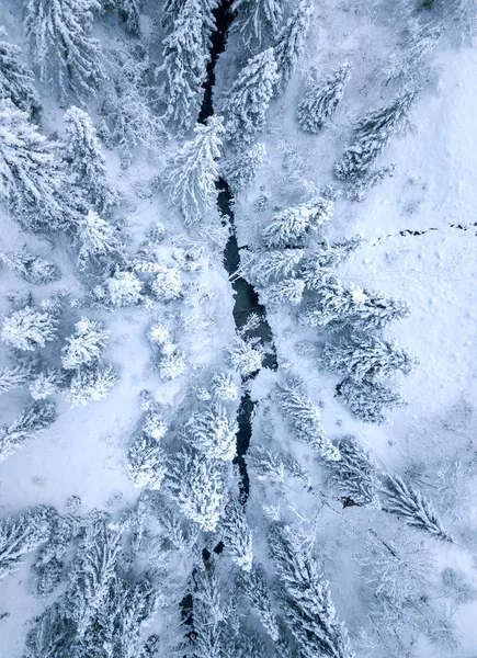 Top view of winter mountain river surrounded by trees and banks — Stock Photo, Image