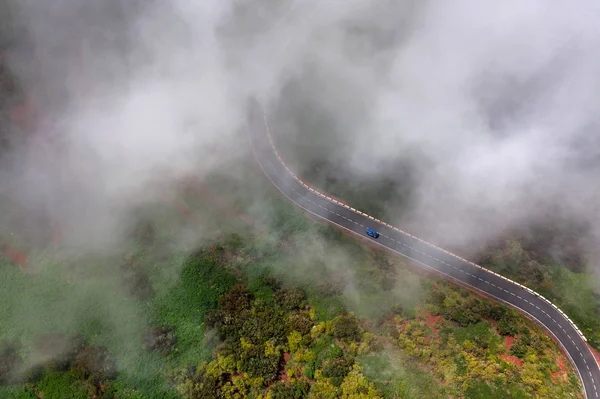 Tirer au-dessus des nuages. Route parmi la végétation verte le long — Photo