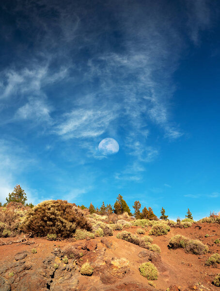 Teide National Park, rocky soil and sparse vegetation. The silho Stock Image