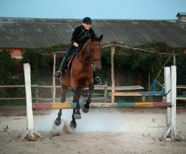 Horsewoman naik di atas kuda cokelat dan melompat pagar di berpasir — Stok Foto