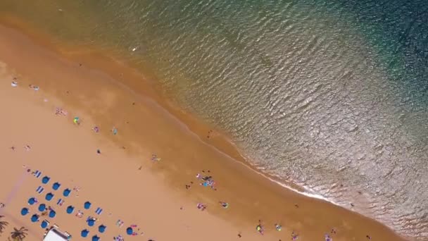 Вид с высоты золотого песка, пальм, солнцезащитных кресел, неузнаваемых людей на пляже Лас-Терратас, Тенерифе, Канары, Испания . — стоковое видео