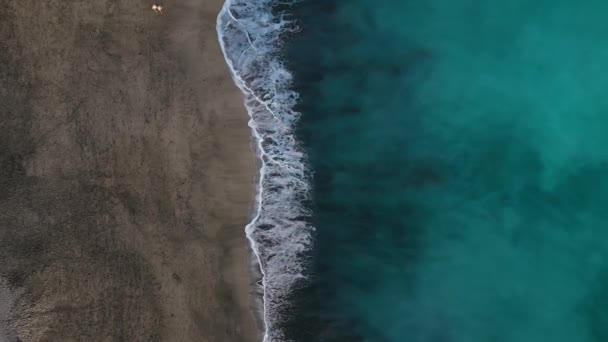 Vue de dessus de la plage de sable noir du désert sur l'océan Atlantique. Côte de l'île de Tenerife. Images aériennes de drones de vagues atteignant le rivage 