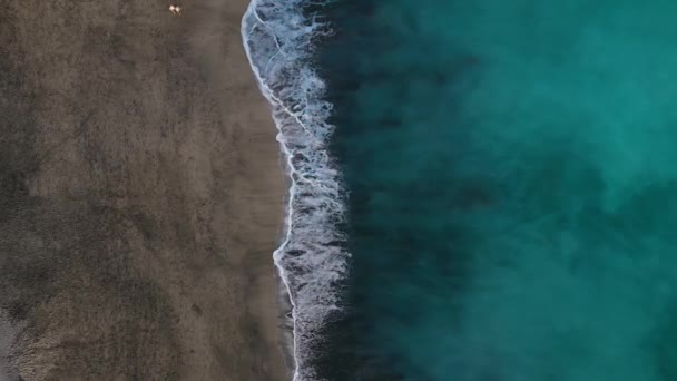 Vue de dessus de la plage de sable noir du désert sur l'océan Atlantique. Côte de l'île de Tenerife. Images aériennes de drones de vagues atteignant le rivage — Video