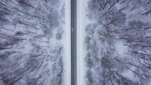 Pohled shora na provoz na silnici obklopenou zimním lesem — Stock video