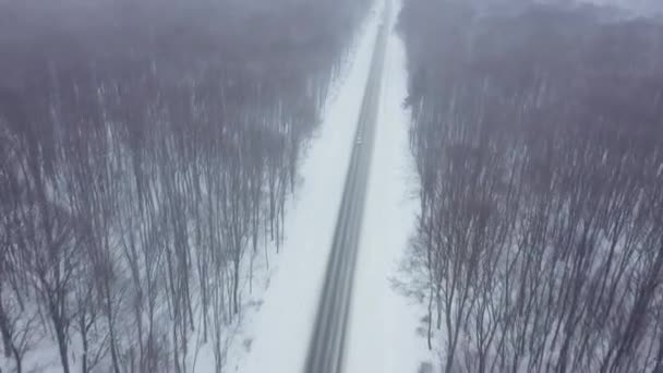 Vista aérea del tráfico en una carretera rodeada de bosque de invierno en las nevadas — Vídeo de stock