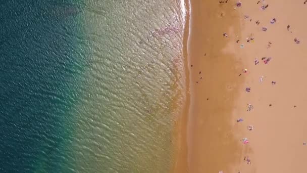 Vista do alto da areia dourada, palmeiras, pessoas irreconhecíveis na praia Las Teresitas, Tenerife, Canárias, Espanha . — Vídeo de Stock