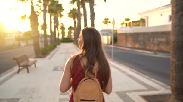 Fotógrafa turista tomando fotos con cámara en un hermoso paisaje tropical al atardecer — Vídeos de Stock