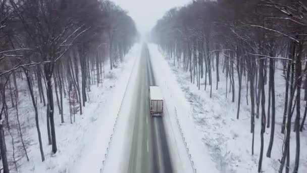 Letecký pohled na kamion jedoucí po silnici obklopený zimním lesem ve sněhu — Stock video