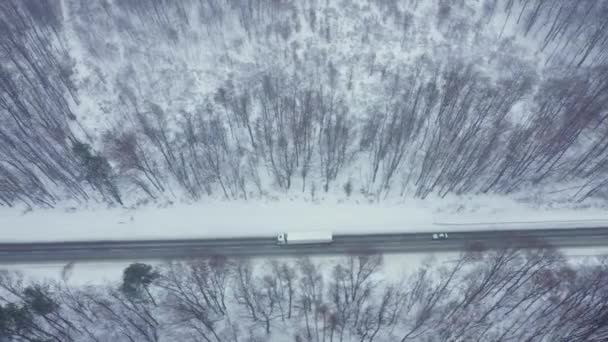 Воздушный обзор движения на дороге, окруженной зимним лесом в снегопаде — стоковое видео