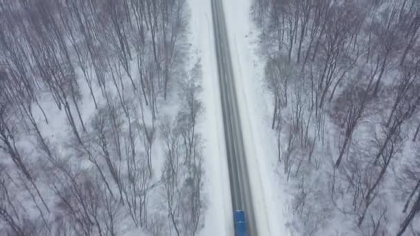 Воздушный обзор грузовика, движущегося по дороге, окруженной зимним лесом в снегопаде — стоковое видео