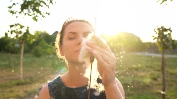 Frau bläst draußen bei sonnigem Wetter auf Schilf. Flaum aus Schilf fliegt herum. Zeitlupe — Stockvideo