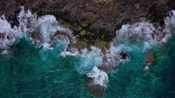 さびれた海岸のトップビュー。テネリフェ島のロッキー海岸。海岸に到達する海の波の空中ドローン映像 — ストック動画