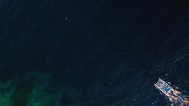 Blick von oben auf einen großen Katamaran, der im Atlantik segelt — Stockvideo