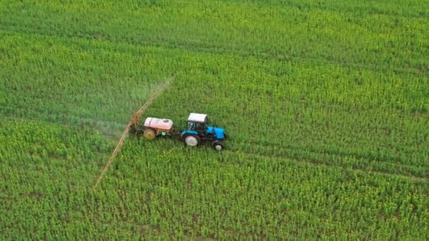 Luftaufnahme eines Traktors, der Dünger auf landwirtschaftliche Pflanzen auf dem Rapsfeld sprüht — Stockvideo