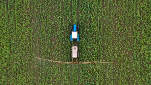 Vista superior del tractor pulveriza fertilizante en plantas agrícolas en el campo de colza — Vídeos de Stock